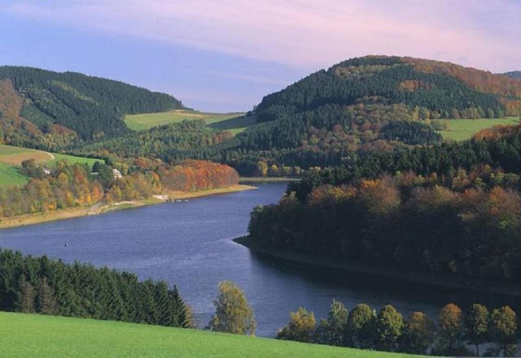 Typ Murmeltier Schmallenberg Bagian luar foto