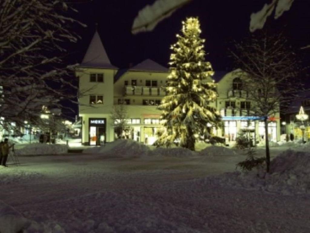 Typ Murmeltier Schmallenberg Bagian luar foto
