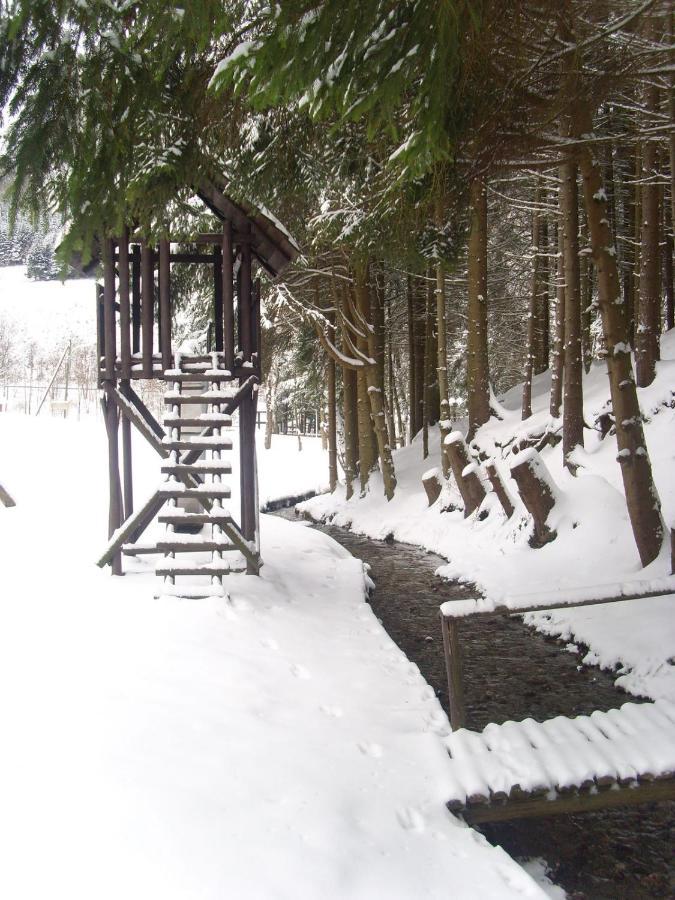 Typ Murmeltier Schmallenberg Bagian luar foto