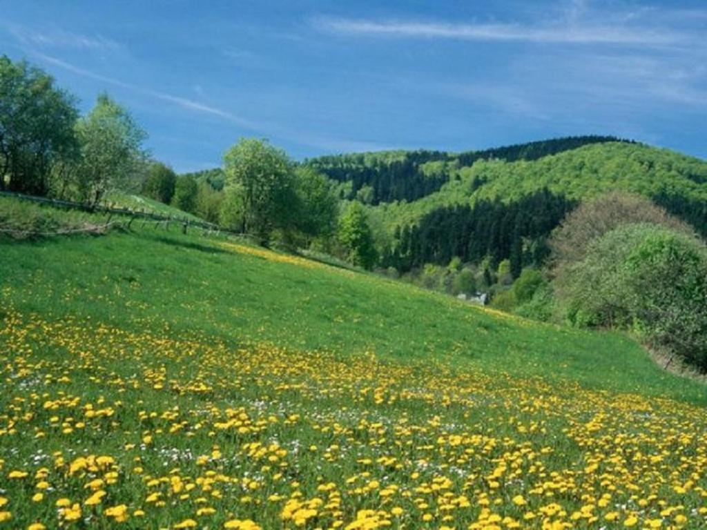 Typ Murmeltier Schmallenberg Bagian luar foto