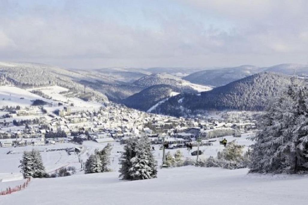 Typ Murmeltier Schmallenberg Bagian luar foto