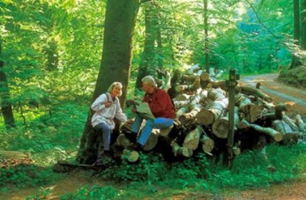 Typ Murmeltier Schmallenberg Bagian luar foto